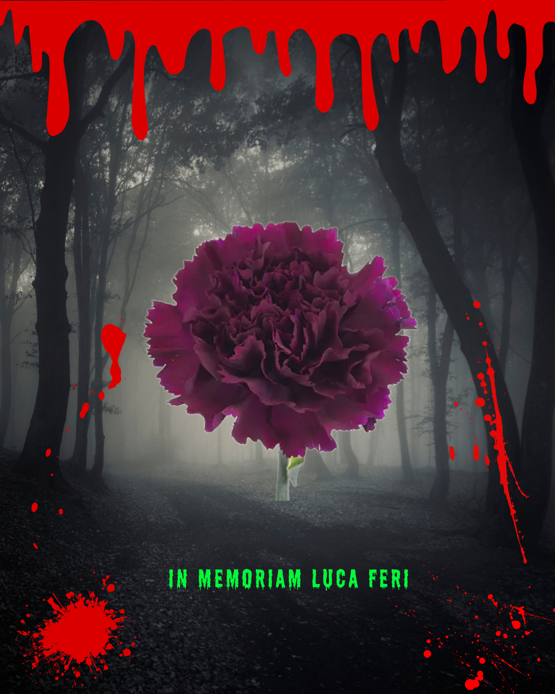 CARNATIONS AT MIDNIGHT 💮🌻🌸